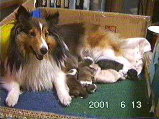 ����������܂邿���