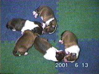 ���ǂ�����