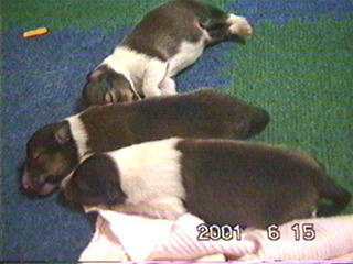 ��O����A���A���A���