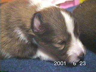 �ڂ��J���Ă���̂�����܂����H