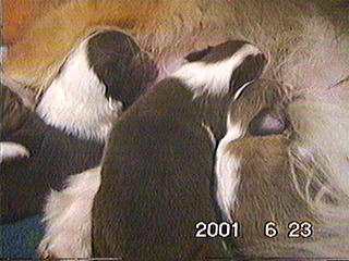 �N�����炨���ς���