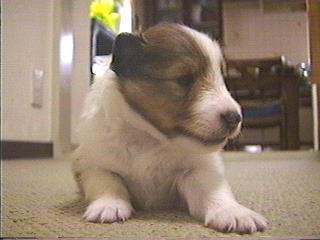 ���Ł`����