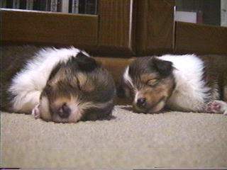 ���Ƃ��Ł`����