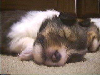 ���Ł`����