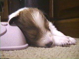 ���Ł`����