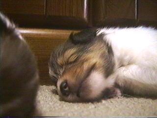 ���Ł`����