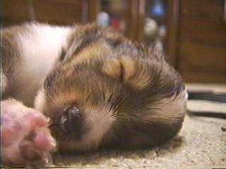 ���Ł`����