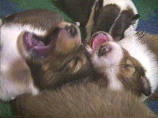 ���Ȃ������������ǂ�����