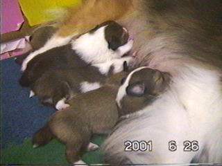 �����ς�����ł܂��B