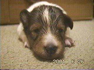 ���Ȃ������ς��u���v�����B