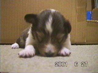 �������˂ނȂ́`