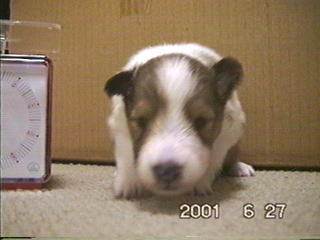 �u���v�����j�O�I