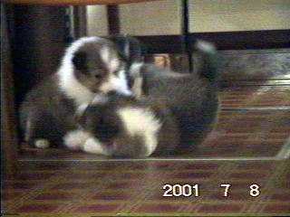 ����ꍇ����������