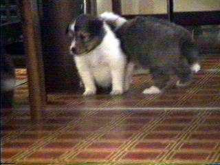 ����������ꍇ����������