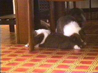 �܂��܂�����ꍇ����������