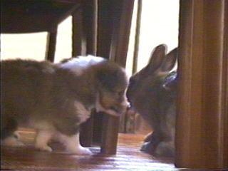 �o�����ɂ��������I�H