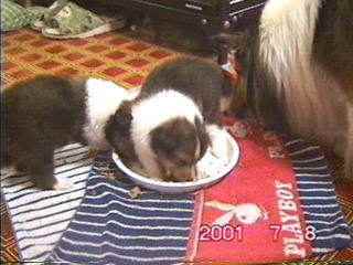 ���M�ɓ����Ă�����āu�����ۂ�v