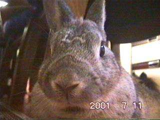 �Ђ��т��o������