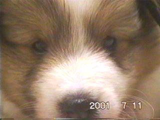 ���킢���u���v�����