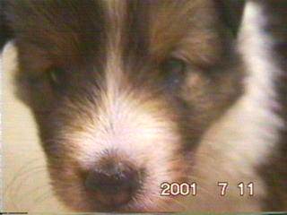 ��炿���A�b�v