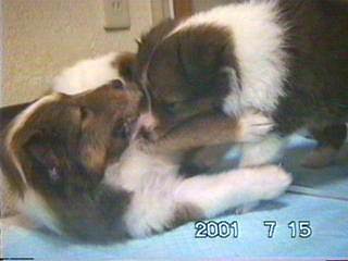 �̈�̎��ԁi���H��̂��񑩁j