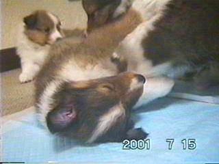 ������Ƌx�e�i��낿���j