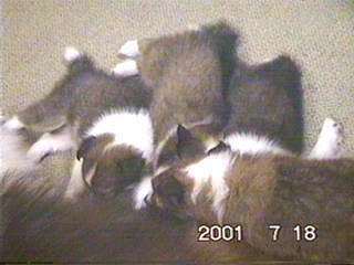 �z���g�ɂT�C����񂾂��ǁE�E�E