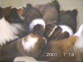 �ށ[�͏ォ��