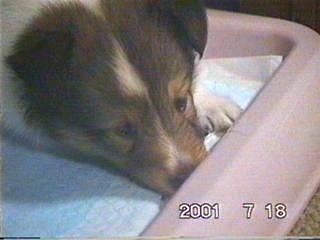 ��Ԃ�������ȁu���v�����