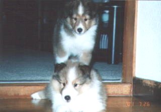 �u��������B�v�u�悤�A�����́B�v