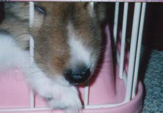 ���`��I����Ϗo���Ȃ��i�������j