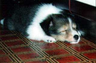 ���I������B(-_-) zzz