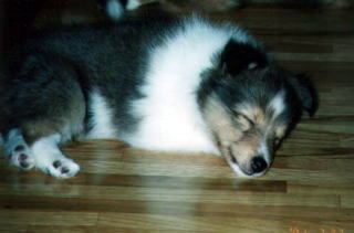 ���I������B(-_-) zzz