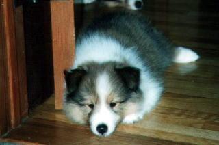 �W������B�u�ڂ����˂ނ��I�v