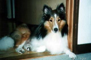 �܂邿���B�u���΂��̋x�������v