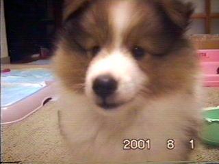 �W������A�b�v�����I