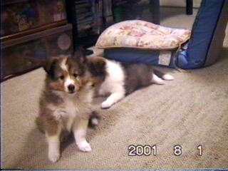 �����܂��ށ[�����B