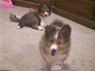 ���������A�Ў����������Ă�����I