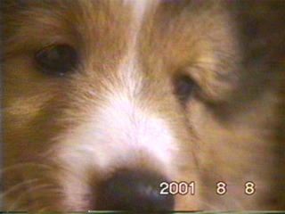 �Ԃ�ȓ���