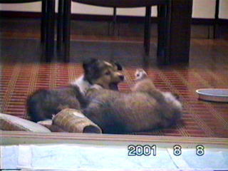 �X���b�p�͑����܂��傤�I