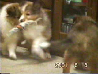 �����[���n�܂�܂������I