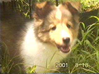 �ڂ��͂������肨�C�ɓ����