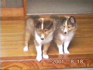 �ꂨ�����A���Ă��Ȃ��˂��`