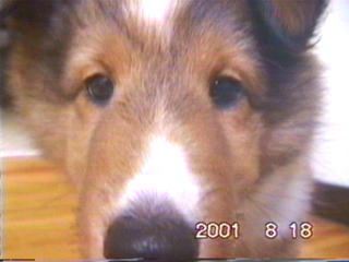 �킽�����`�I