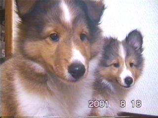 ���܂ł���Ă�́I