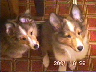 Amour��Lourdes��( - ""-)