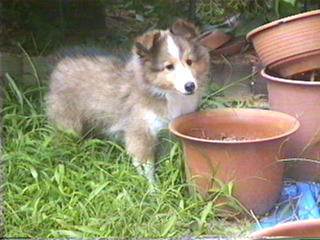 �Ў������Ă�Ƃ������������I