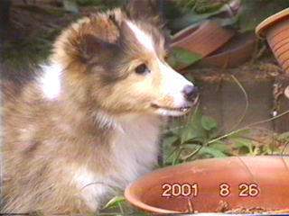 ���l�̗\���I�H