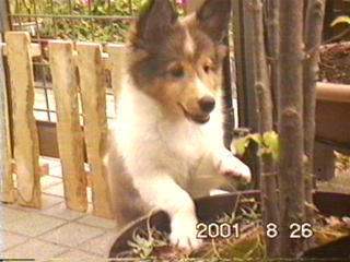 �撣��((;��_��;)�r�F�F��)���I����