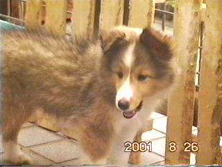 �������Ă�̂��H